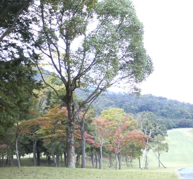 画像: 早くも11月に